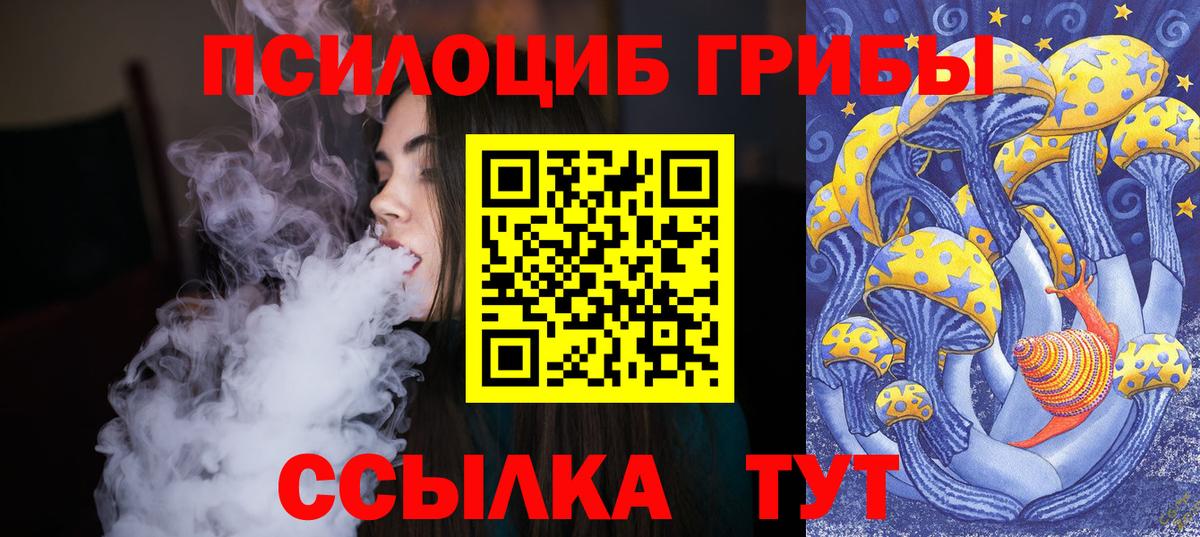 Галлюциногенные грибы Psilocybine cubensis Кохма