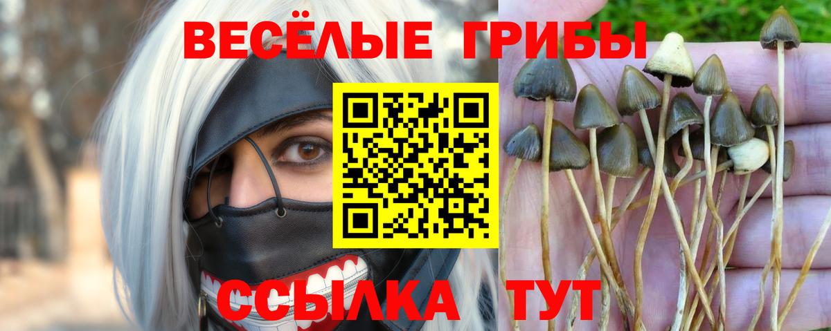 Гашиш Кохма
